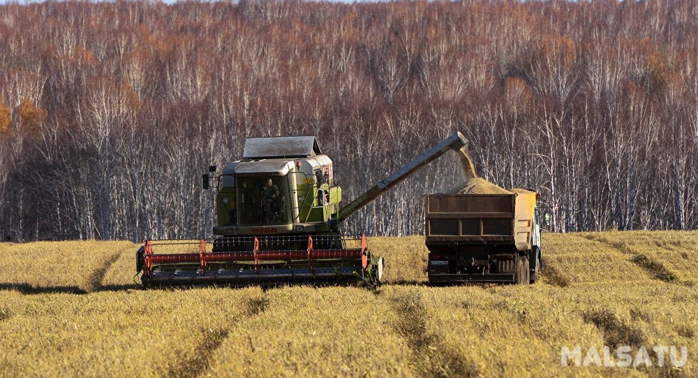 Нурсултан Назарбаев: сельскохозяйственная промышленность остро нуждается в иностранных инвестициях