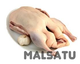 Продам мясо индо утки в больших количествах (10 000 шт/ и более) оптом